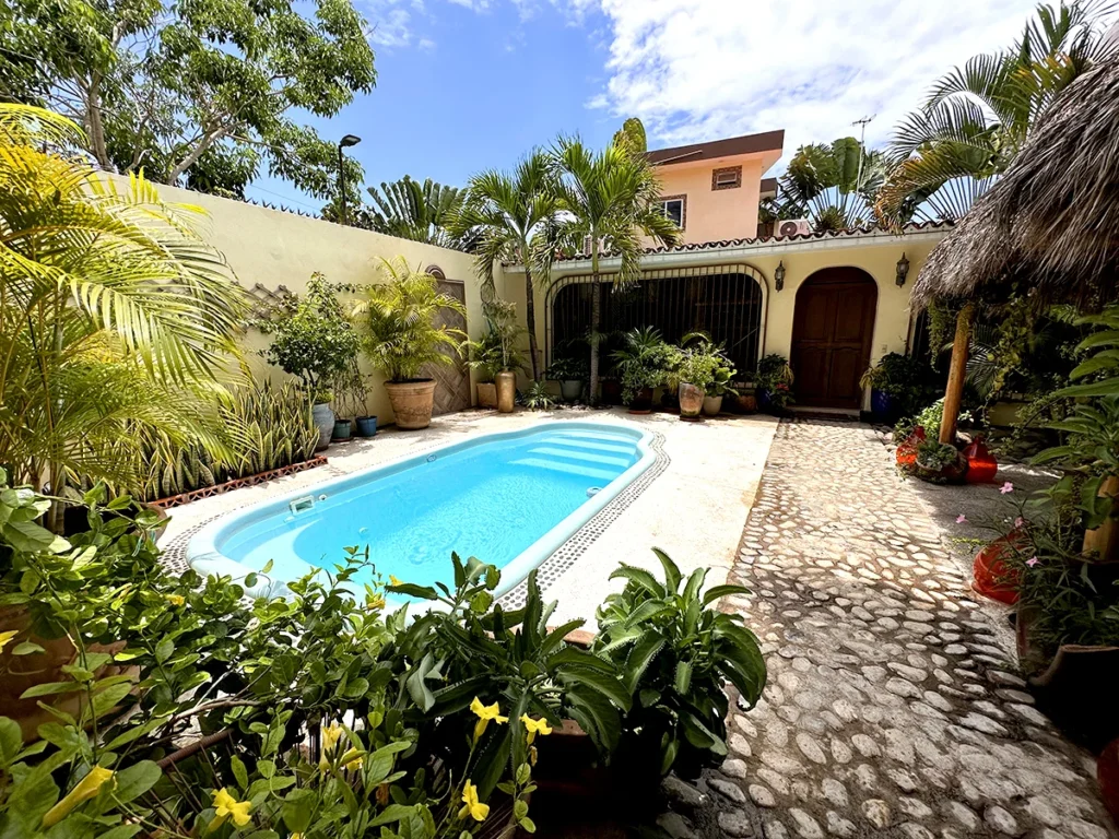 Tropical Pool Garden